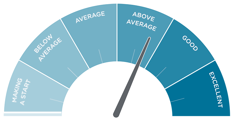 Rating scale from 'Making a Start' to 'Excellent'