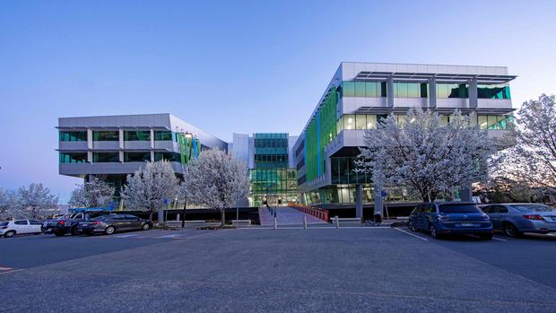 Modern office building with glass facades and green accents, surrounded by blooming trees and parked cars in the foreground at dusk